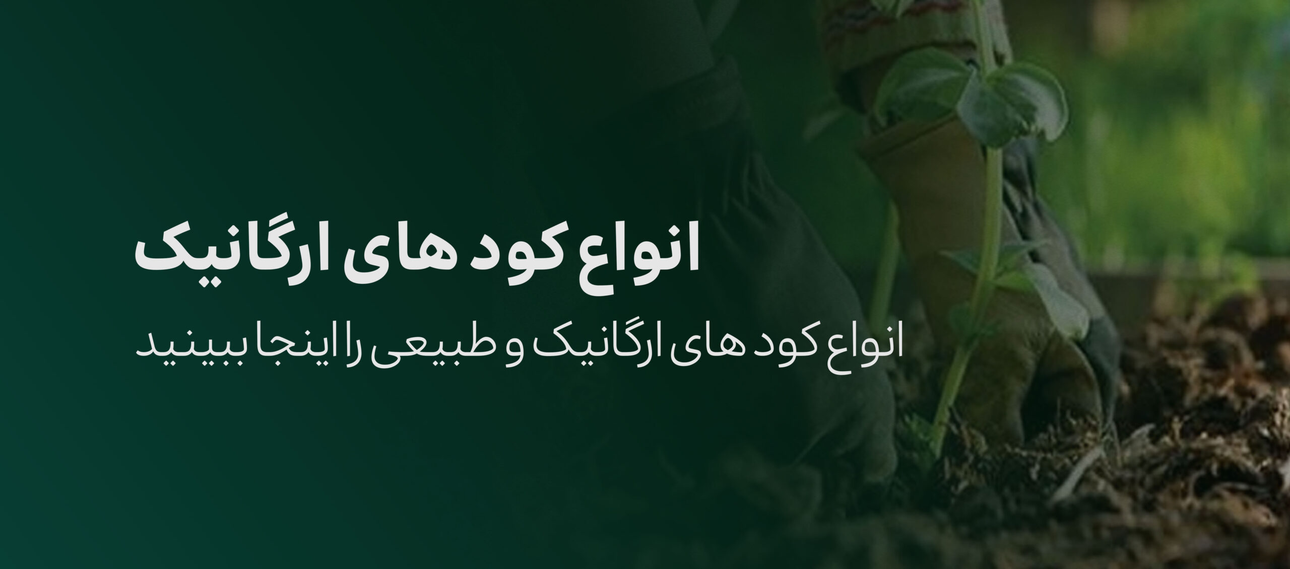 3 scaled 1 - کودهای هیموژی | رشد استثنایی، برداشت فوق&zwnj;العاده!