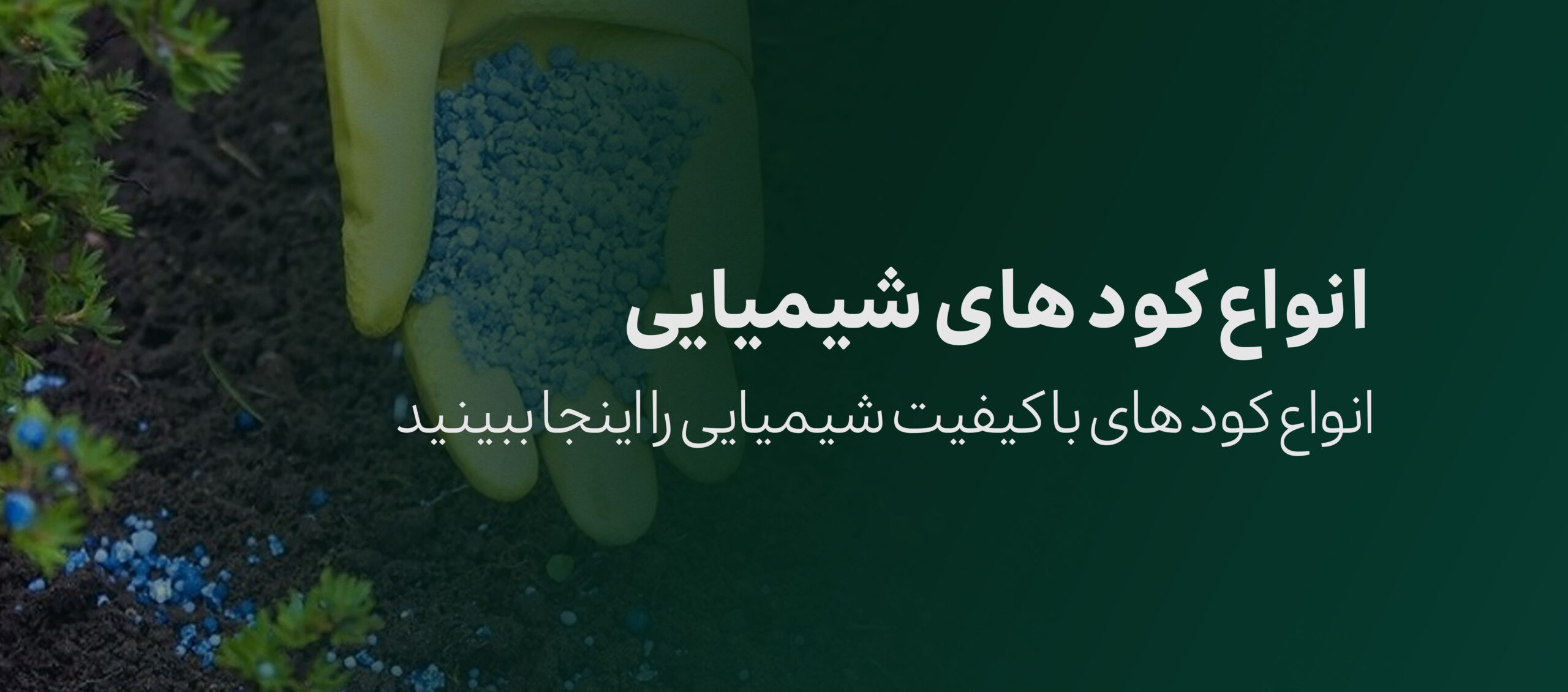 4 scaled 1 - کودهای هیموژی | رشد استثنایی، برداشت فوق&zwnj;العاده!